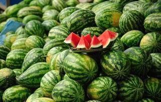 今日新鲜事西酉瓜祝频,西酉瓜祝频送清凉