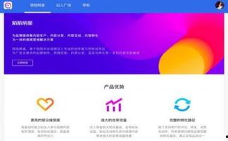 如何发掘明星网红产品营销,发掘爆款背后的秘密