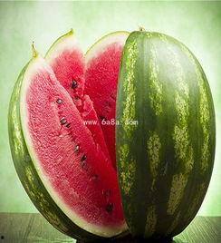 黑料八卦吃瓜qq群,揭秘娱乐圈背后的秘密与真相