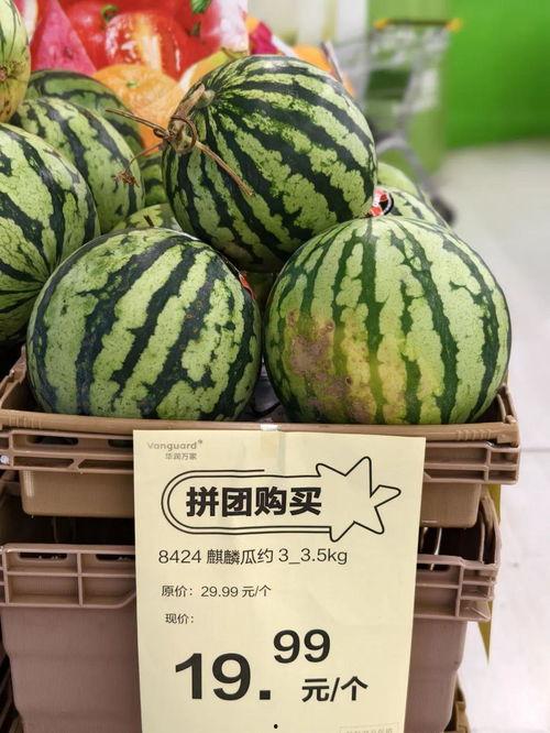 麒麟瓜批发价格今日,市场动态一览”