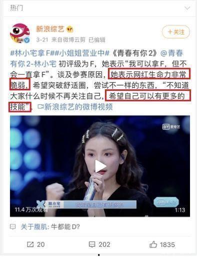 明星网红的流量,揭秘明星网红的吸金秘籍