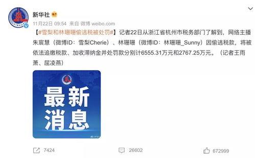 明星网红逃税评论,明星网红逃税事件引发社会关注与反思