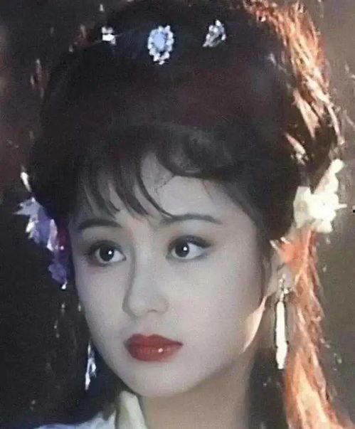 蚌埠的明星网红,明星风采与网络热度并存的璀璨星河