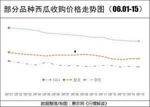今日小井瓜价格行情走势,今日行情走势解析