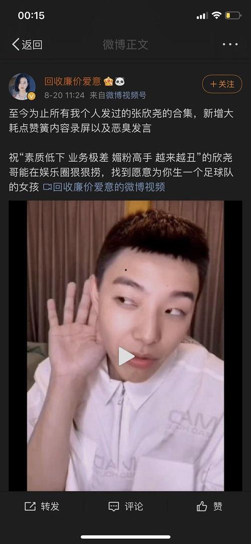 明星网红集合图片大全集,明星网红风采集结大盘点