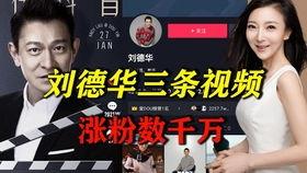 明星网红能带来什么收入,揭秘他们的收入来源与潜力