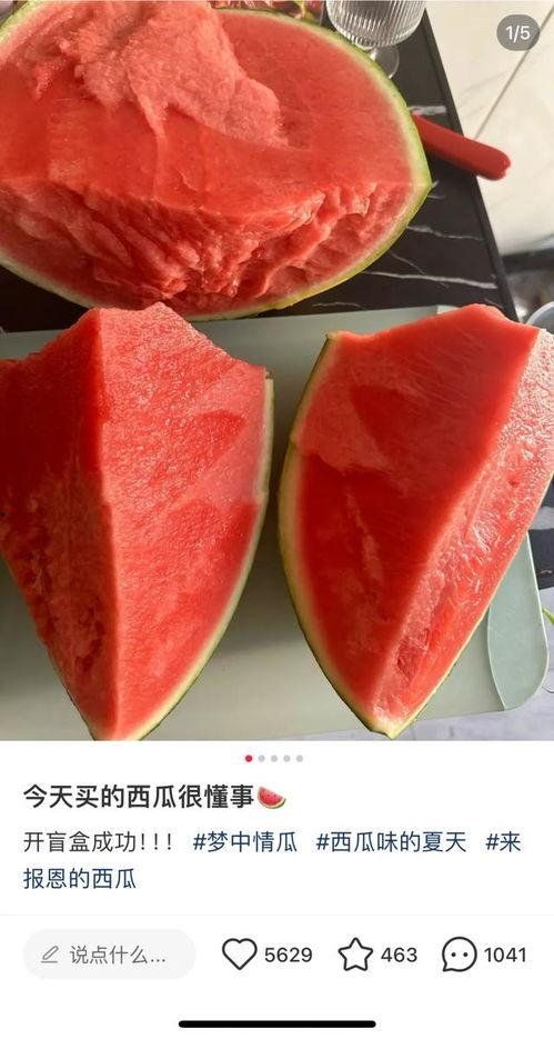 今日晚餐梦中情瓜,揭秘今日晚餐“梦中情瓜”之谜