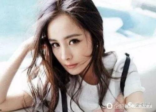 明星网红今日推荐榜最新,热门话题与人气爆款盘点”