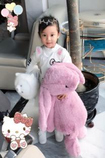 明星网红的玩具,明星同款玩具大揭秘