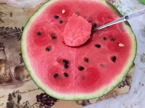 黑料吃瓜网一区二区三区