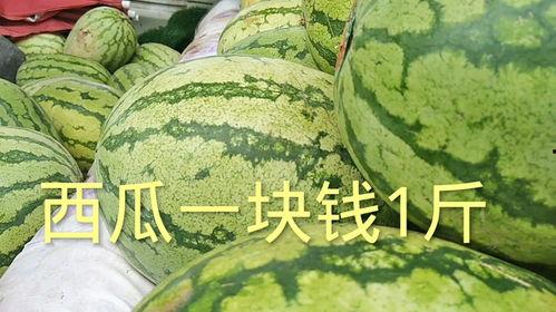 今日瓜价格多少钱一斤,一斤多少钱，揭秘市场行情