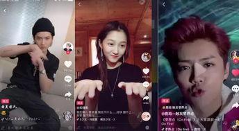 探访明星网红视频,探访视频背后的真实故事