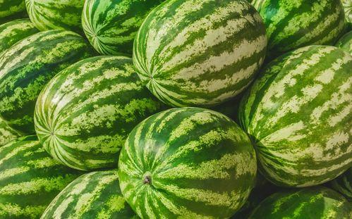 51大赛吃瓜黑料网台湾网红皮皮