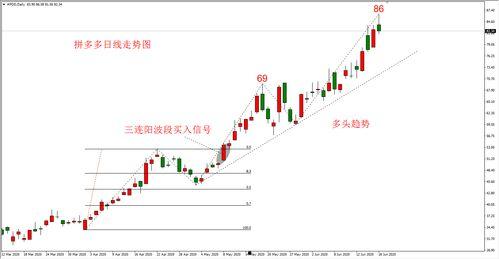 今日吊瓜行情走势图片,波动中寻求机遇