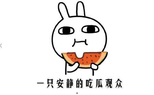 黑料吃瓜热门吃瓜你懂的视频一区,黑料吃瓜背后的真相与趣味