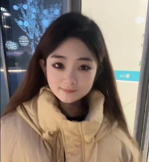 明星网红大撞脸小说