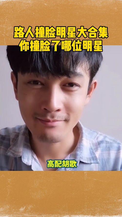 明星网红大撞脸小说