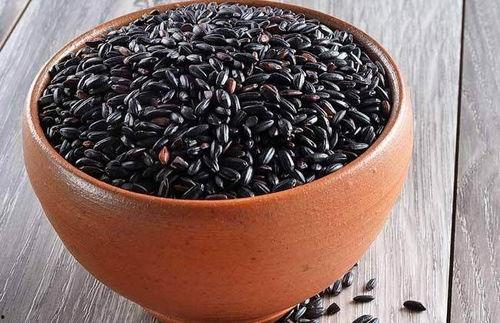 黑料吃瓜多肉小野猫可以吃吗,多肉小野猫的饮食揭秘