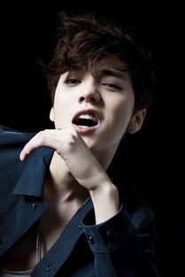 北京明星网红数量,明星网红聚集地，璀璨星光闪耀都市