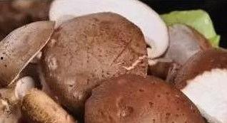 17c吃瓜黑料蘑菇一起草,蘑菇与草的神秘邂逅