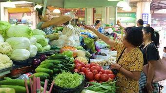海口瓜菜价格今日价,实惠与丰盈并存