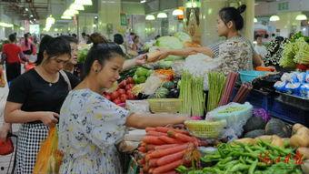 海口瓜菜价格今日价,实惠与丰盈并存