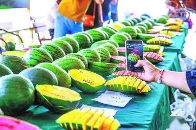 今日10元三斤瓜,夏日炎炎享清凉！”
