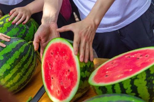 51吃瓜今日吃瓜热门网红,揭秘今日热门网红背后的故事