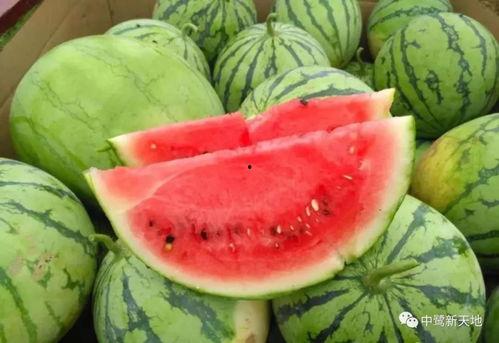 51吃瓜今日吃瓜热门网红,揭秘今日热门网红背后的故事