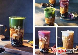 明星网红介绍饮料怎么写,网红明星带你领略时尚饮品魅力