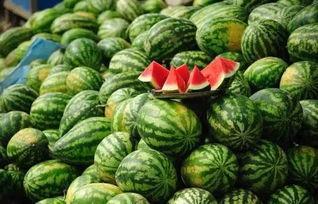 黑瓜吃料网张津渝788,张津渝788背后的故事与影响