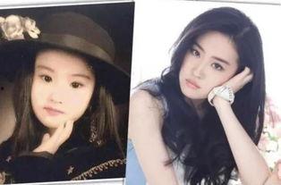 明星网红照片图文,明星照片背后的时尚解读