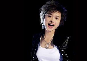 明星网红算什么职业类别,多元化身份与跨界融合