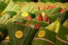 越南佛手瓜今日头条,今日头条聚焦的养生佳品，揭秘其独特魅力与食用方法”