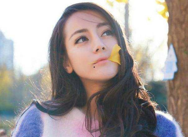 明星网红纳税额,财富背后的社会责任与税务担当