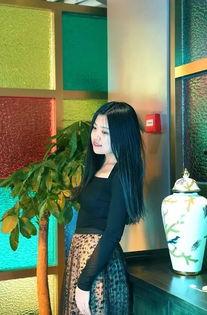 石家庄明星网红有哪些,网络红人风采展现