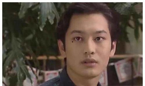 石家庄明星网红有哪些,网络红人风采展现