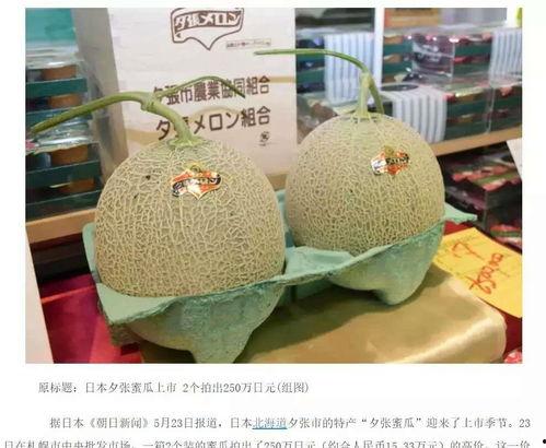 蜜瓜价格今日价,市场行情一览