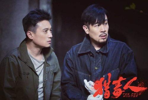 明星网红视频壁纸,捕捉光影瞬间，演绎时尚潮流