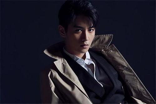 陈晓明星网红是谁呀视频,视频带你走进他的网红世界