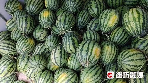 欧美日韩黑料吃瓜一区,揭秘明星背后的黑料与八卦风云