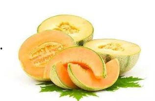 2025年嘉兴哈密瓜今日行情,今日新鲜指数与价格一览