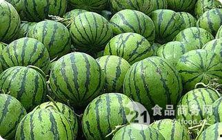 瓢瓜今日价格最新行情,价格波动解析与市场趋势洞察